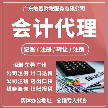 深圳会计代理记账公司