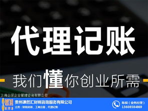 财税顾问 贵州谦然汇财税咨 在线咨询 六盘水财税