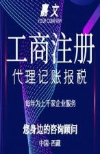 拉萨代理记账财务企业哪家专业