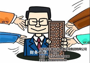专业会计代理公司 临沂专业会计代理 百企慧实力公司