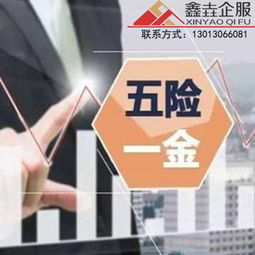 高新区专业的财务代理记账收费标准