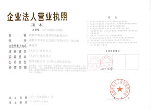 有没有专业人士 办工商执照片 成都专业报税 华阁