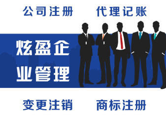 专业会计代理财税服务提供申办一般纳税人、代理记账服务