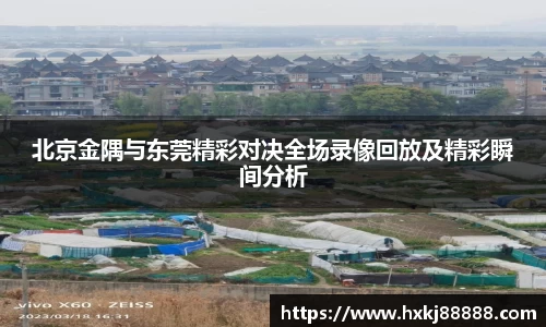 乐鱼体育官网